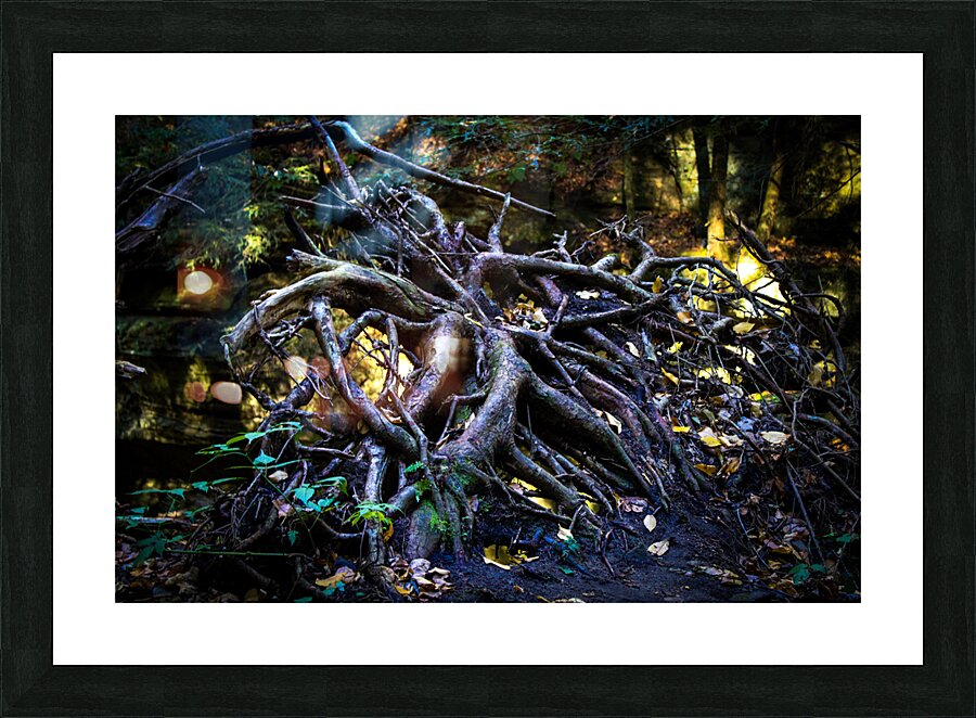 Neuron Picture Frame print
