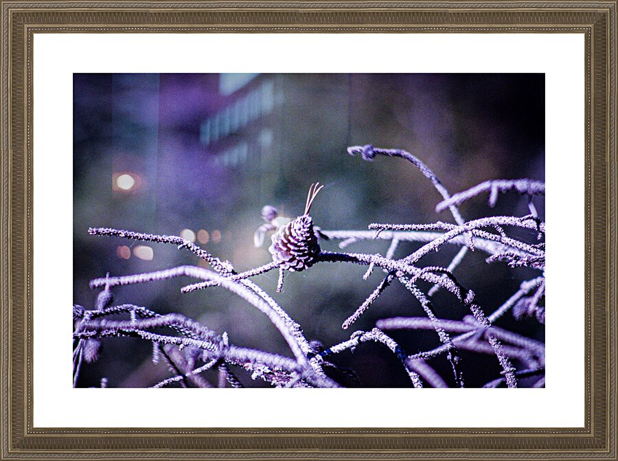  Fine Art print