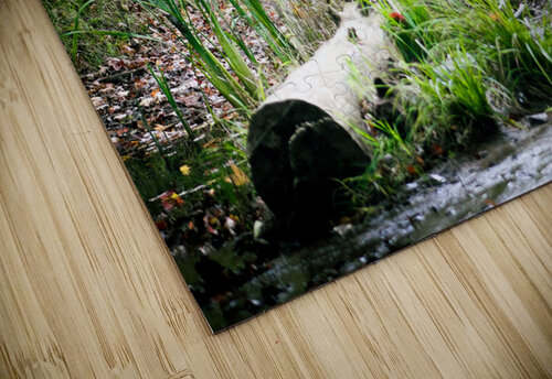 Fallen but not Broken La Scorpionne puzzle