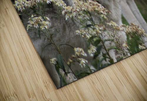 Companionship La Scorpionne puzzle