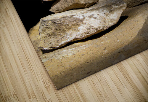 Soul Cairns La Scorpionne puzzle