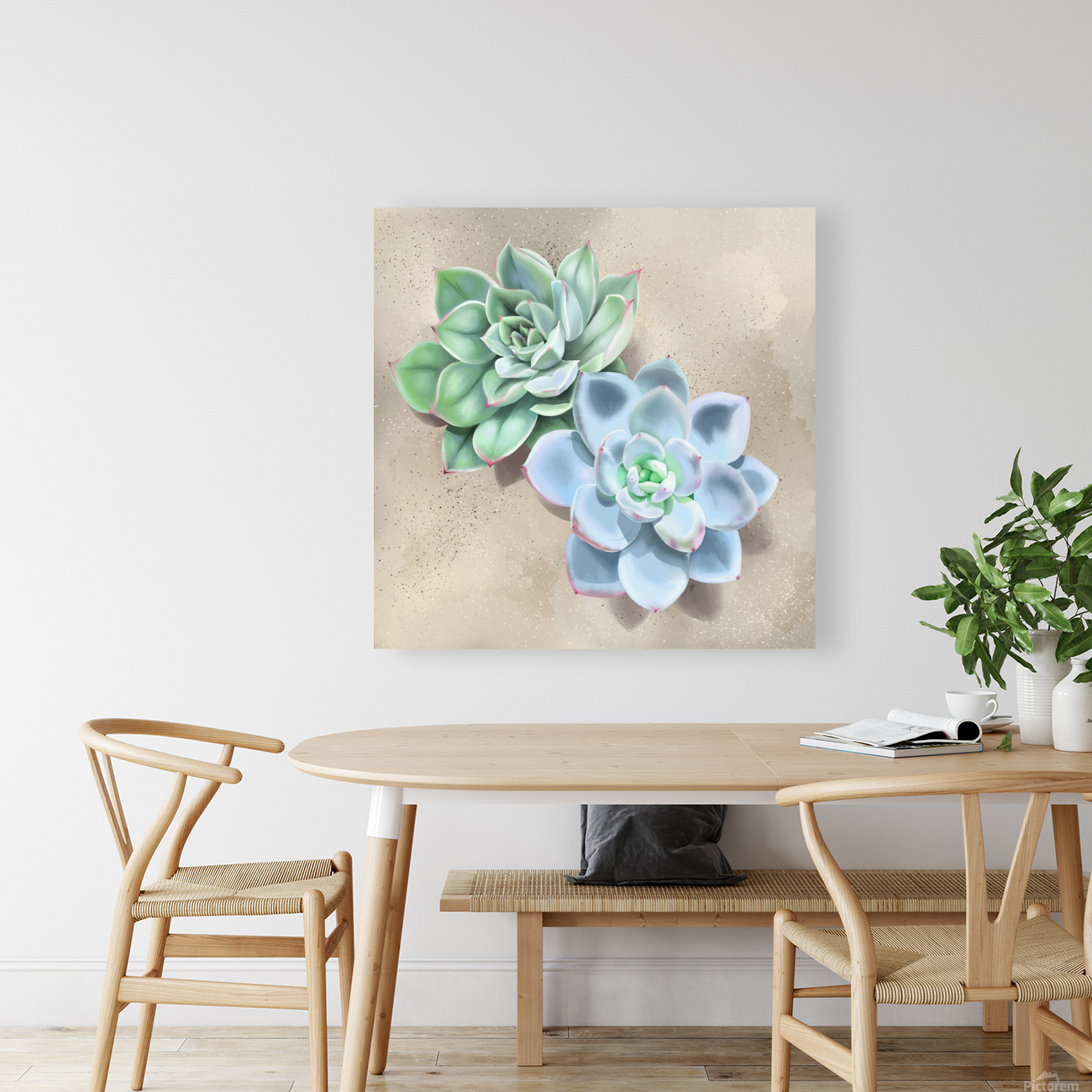 Succulent Reproduction