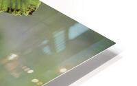 Life HD Metal print