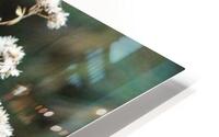 Hope HD Metal print