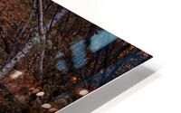 A Walk Through Time HD Metal print