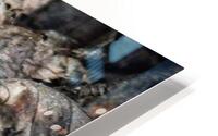 Camouflage HD Metal print