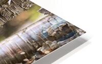 Gold Rush 2 HD Metal print