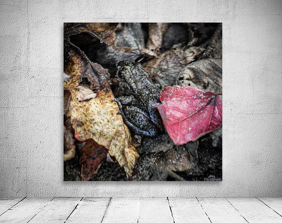 Camouflage Wall Preview