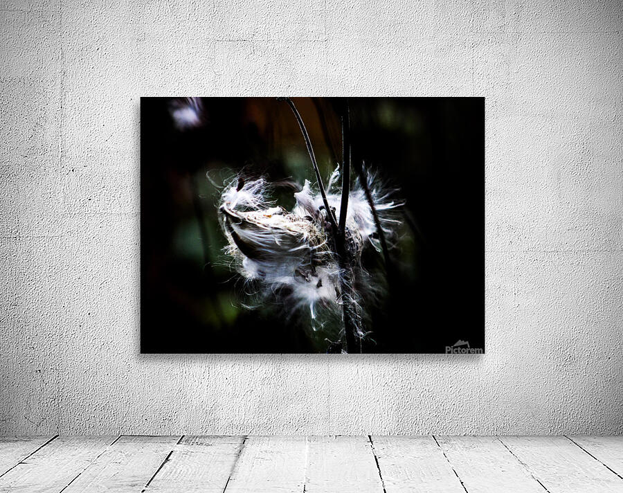 Spread your Wings Wall Preview