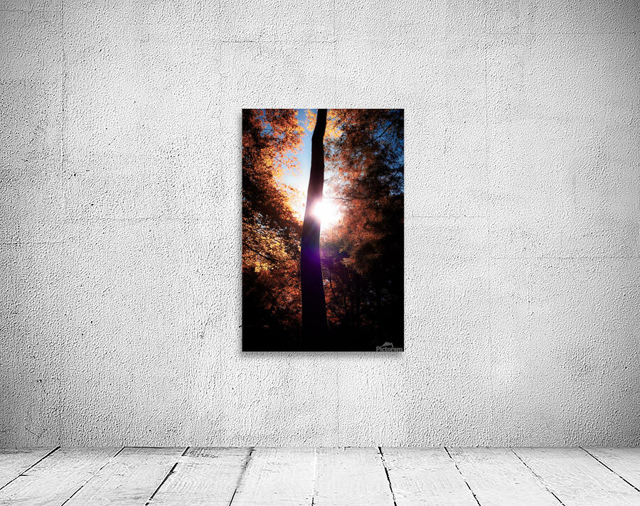 Reaching Up Wall Preview