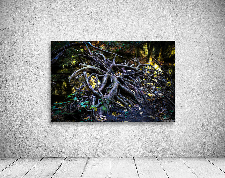 Neuron Wall Preview
