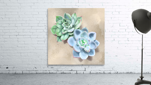 Succulent Wall Preview