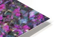 Bubble Gum Begonia HD Metal print