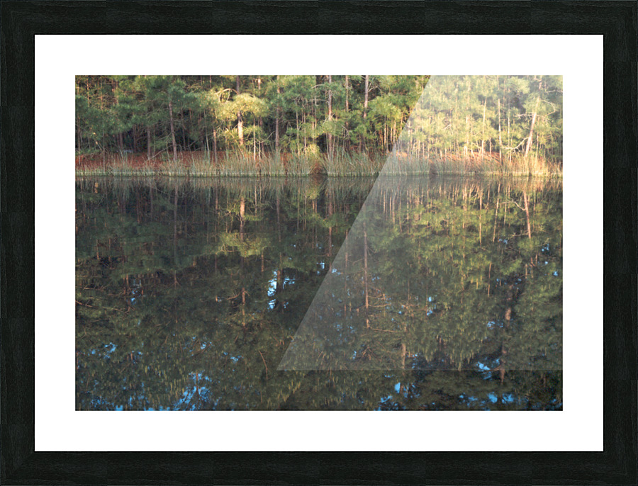 Warda Across Pond Picture Frame Printing