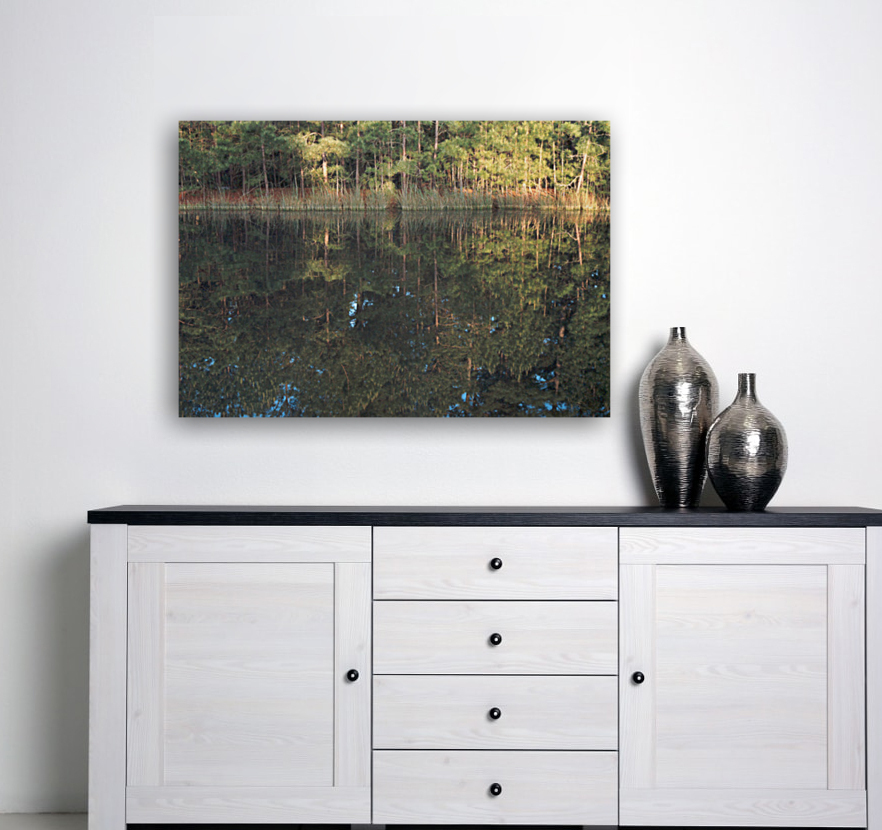 Warda Across Pond Reproduction