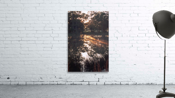Warda Light Wall Preview
