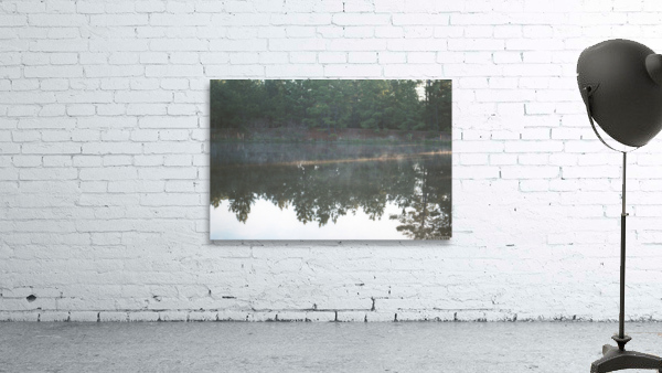 Warda Reflection Wall Preview