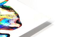 Parabolic Bloom  HD Metal print