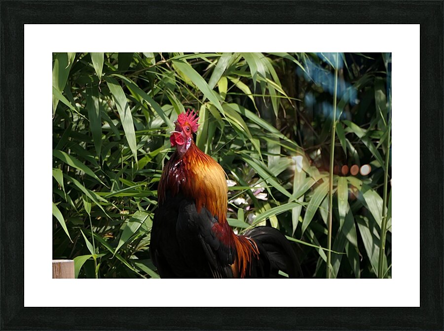  Fine Art print