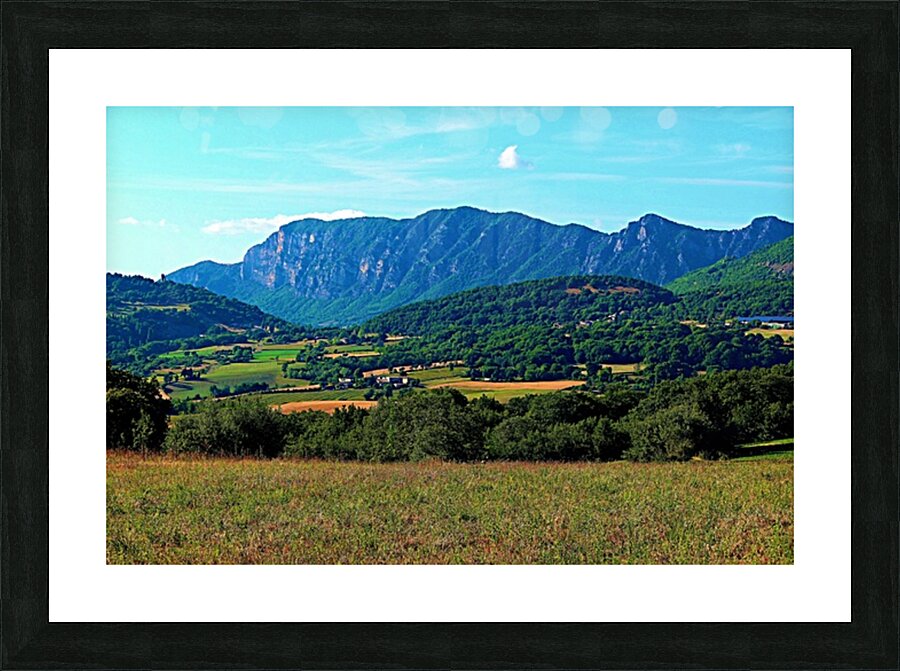  Fine Art print