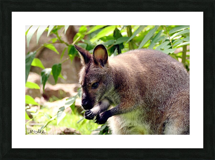  Fine Art print