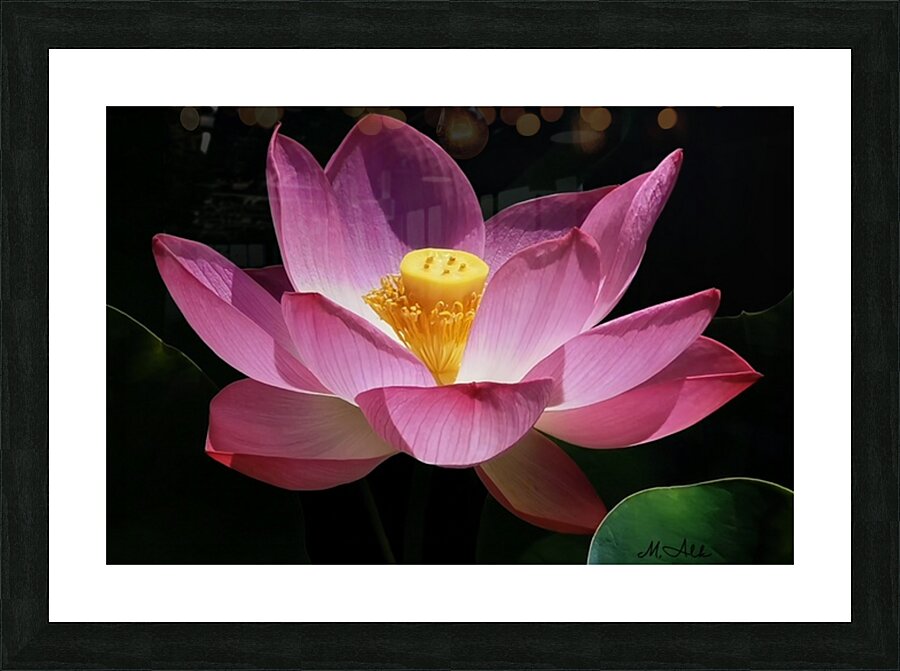  Fine Art print