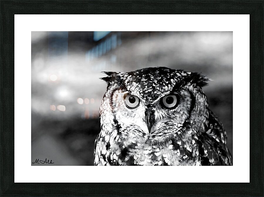  Fine Art print