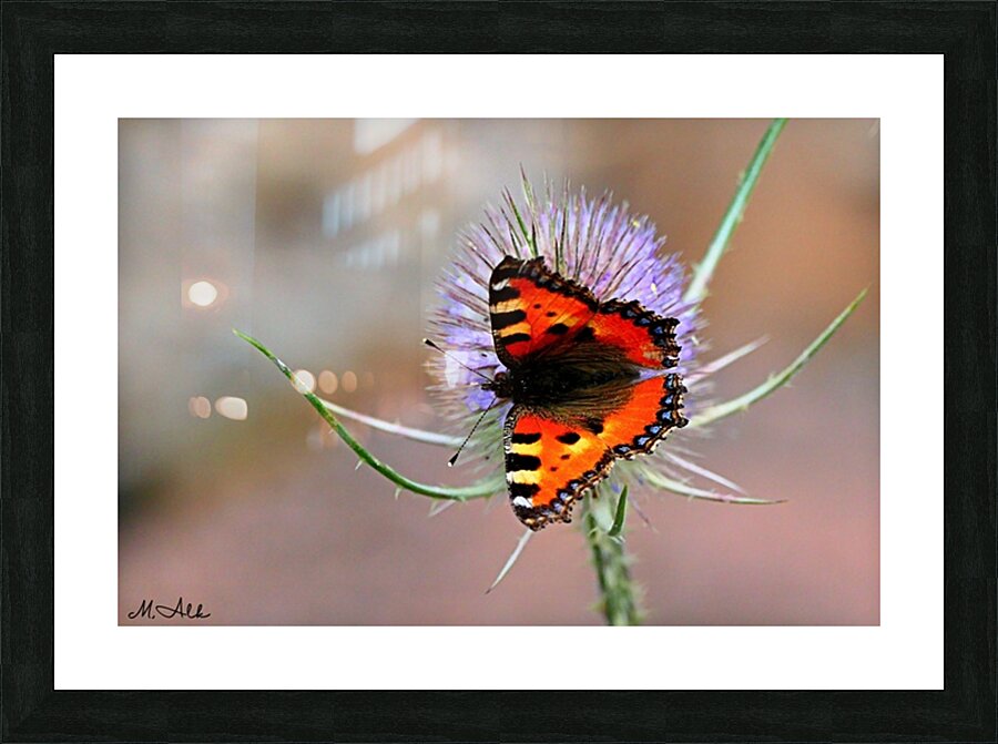  Fine Art print