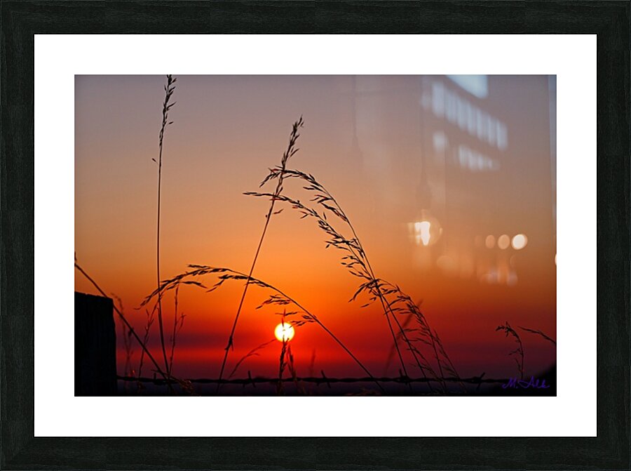  Fine Art print