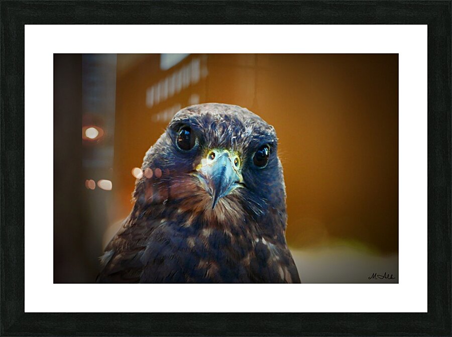  Fine Art print
