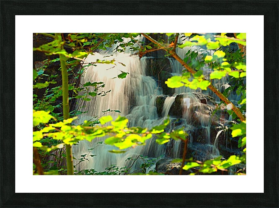  Fine Art print