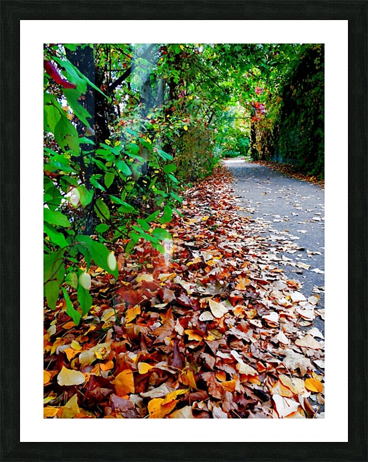  Fine Art print