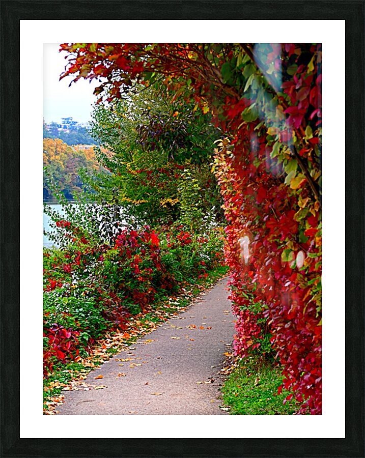  Fine Art print