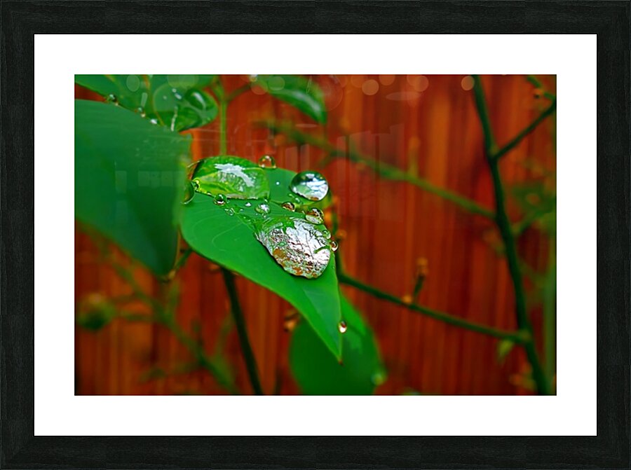  Fine Art print