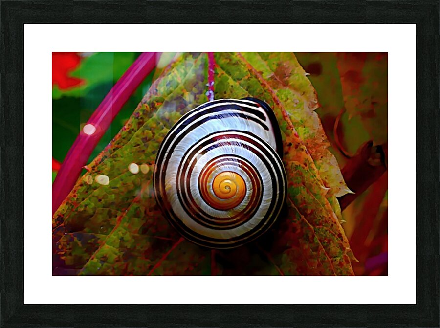  Fine Art print