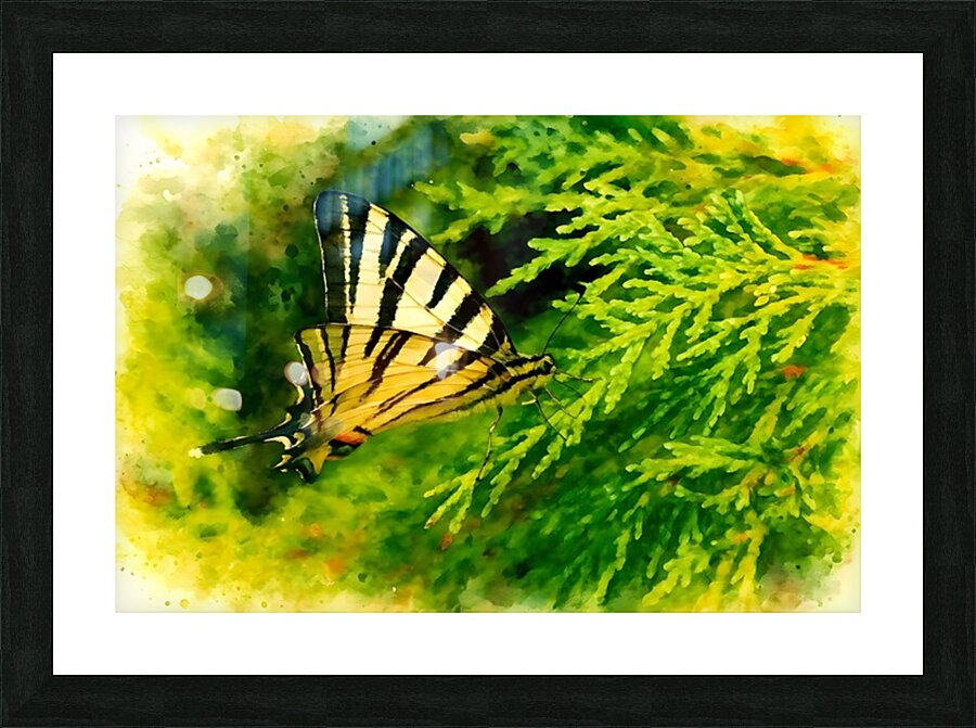  Fine Art print