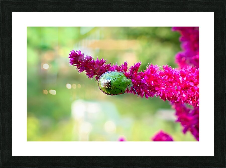  Fine Art print