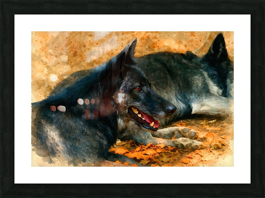  Fine Art print