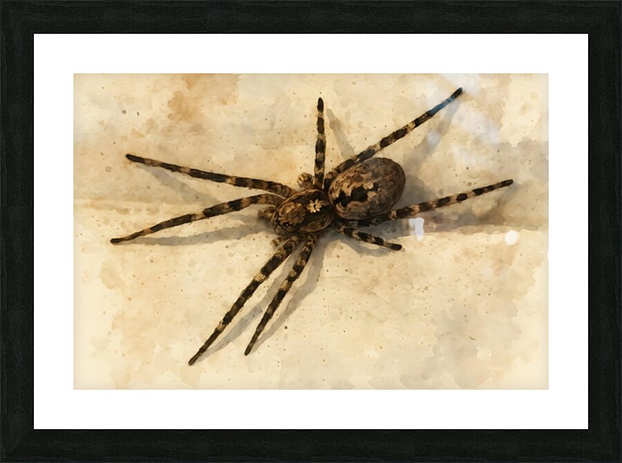  Fine Art print