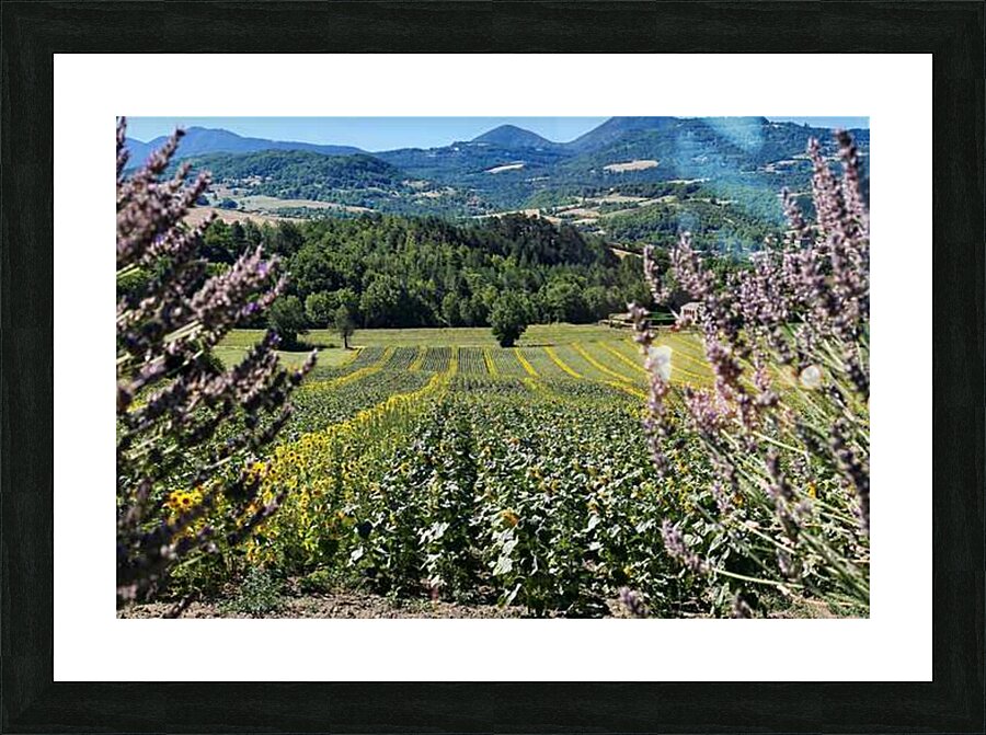  Fine Art print