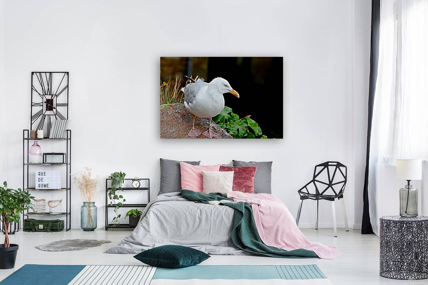 Coastal Sentinel Reproduction