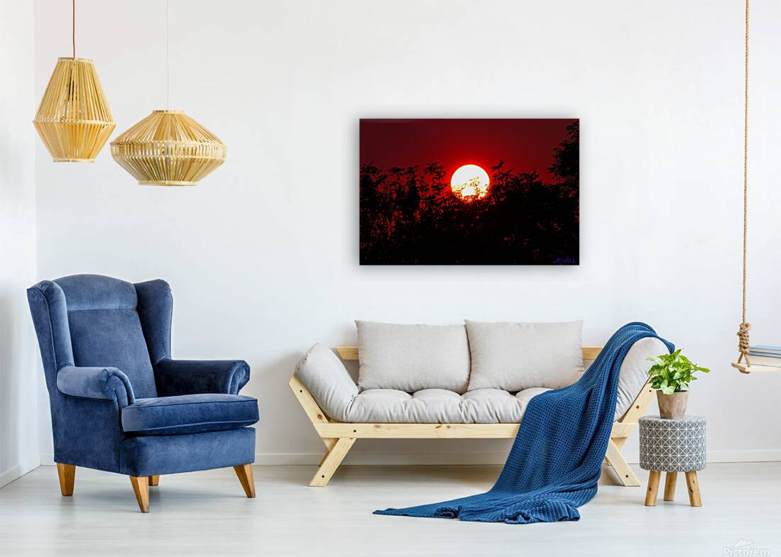 Fiery Sunset Behind the Trees – A Dramatic Sky Reproduction