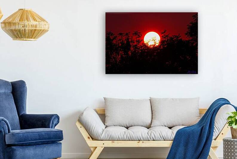 Fiery Sunset Behind the Trees – A Dramatic Sky by M ALK