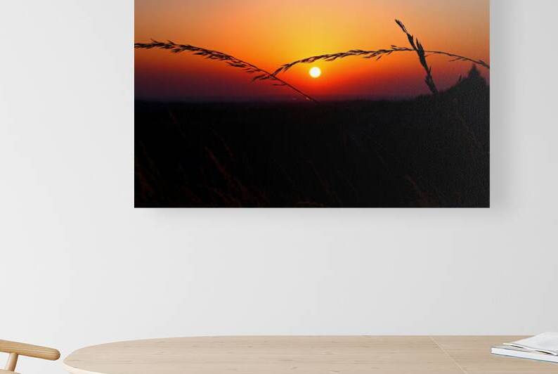 sunset silhouette with wild grass golden hour nat by M ALK