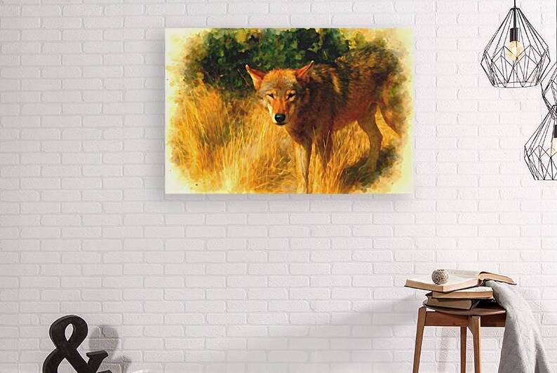 wild wolf golden grass watercolor wildlife art.jp by M ALK