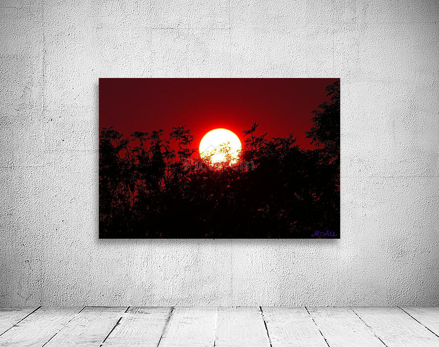 Fiery Sunset Behind the Trees – A Dramatic Sky Wall Preview