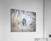 Baby Leopard Acrylic Print