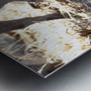 pumba Metal print
