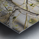 zazu Metal print