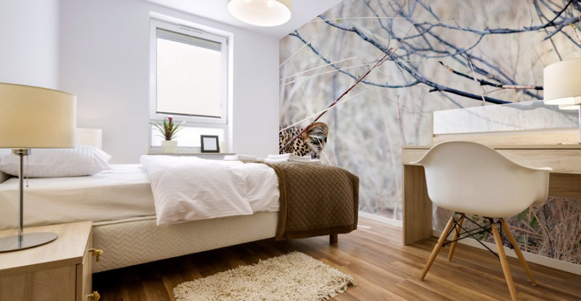 Baby Leopard sitting Mural print